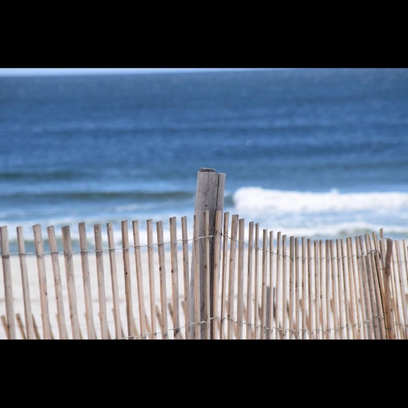 Meet your Posher, Janet - Picture 1 of 1